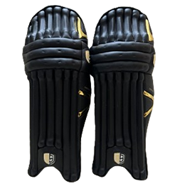Browse Pads cricket products