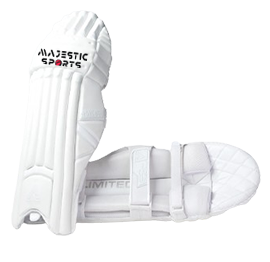 Browse Protective Gear cricket products